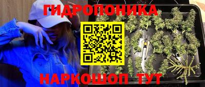 мяу мяу мука Бузулук