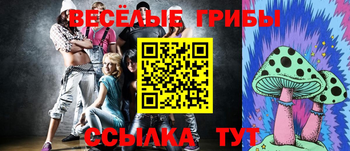 Псилоцибиновые грибы ЛСД  Вход с VPN  Сокол  Галлюциногенные грибы Magic Shrooms 