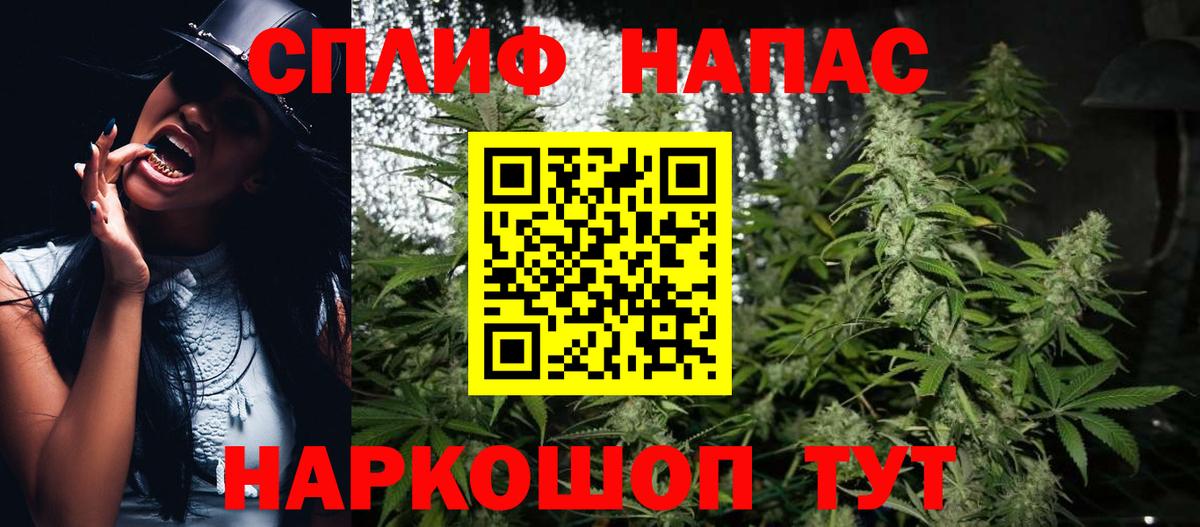 Конопля White Widow Сокол
